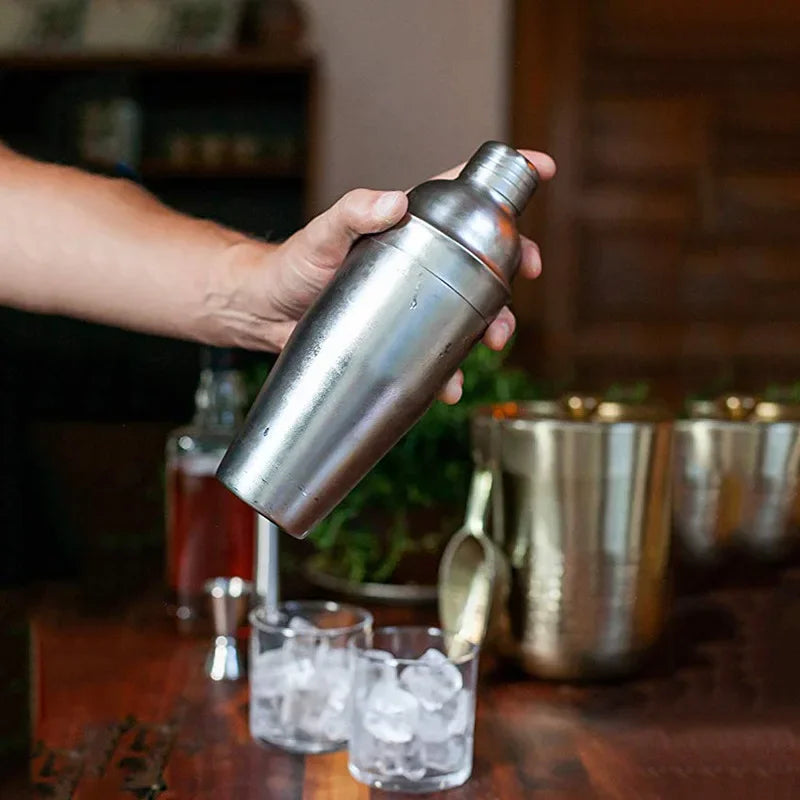 Stainless Steel Cocktail Shaker Set